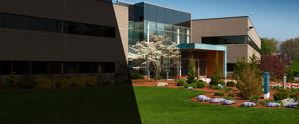 Waretown Landscapers