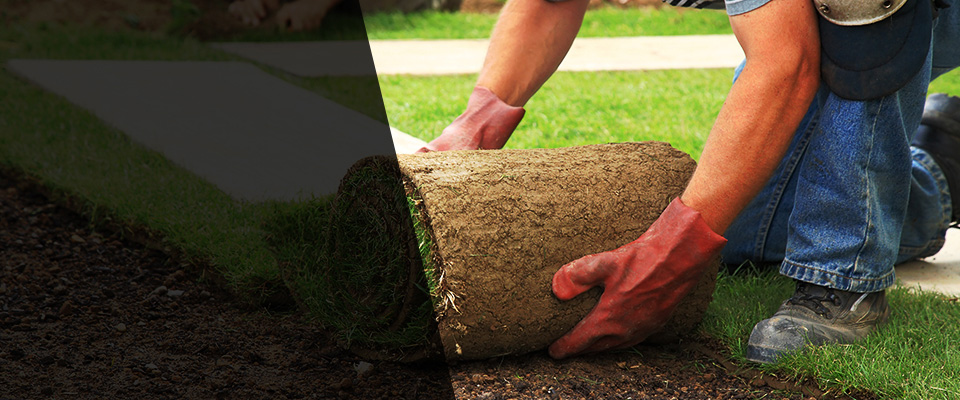 Waretown Landscapers